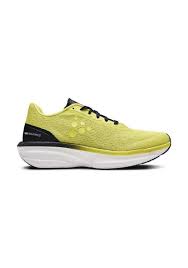 Craft Pro Endurance Distance Green